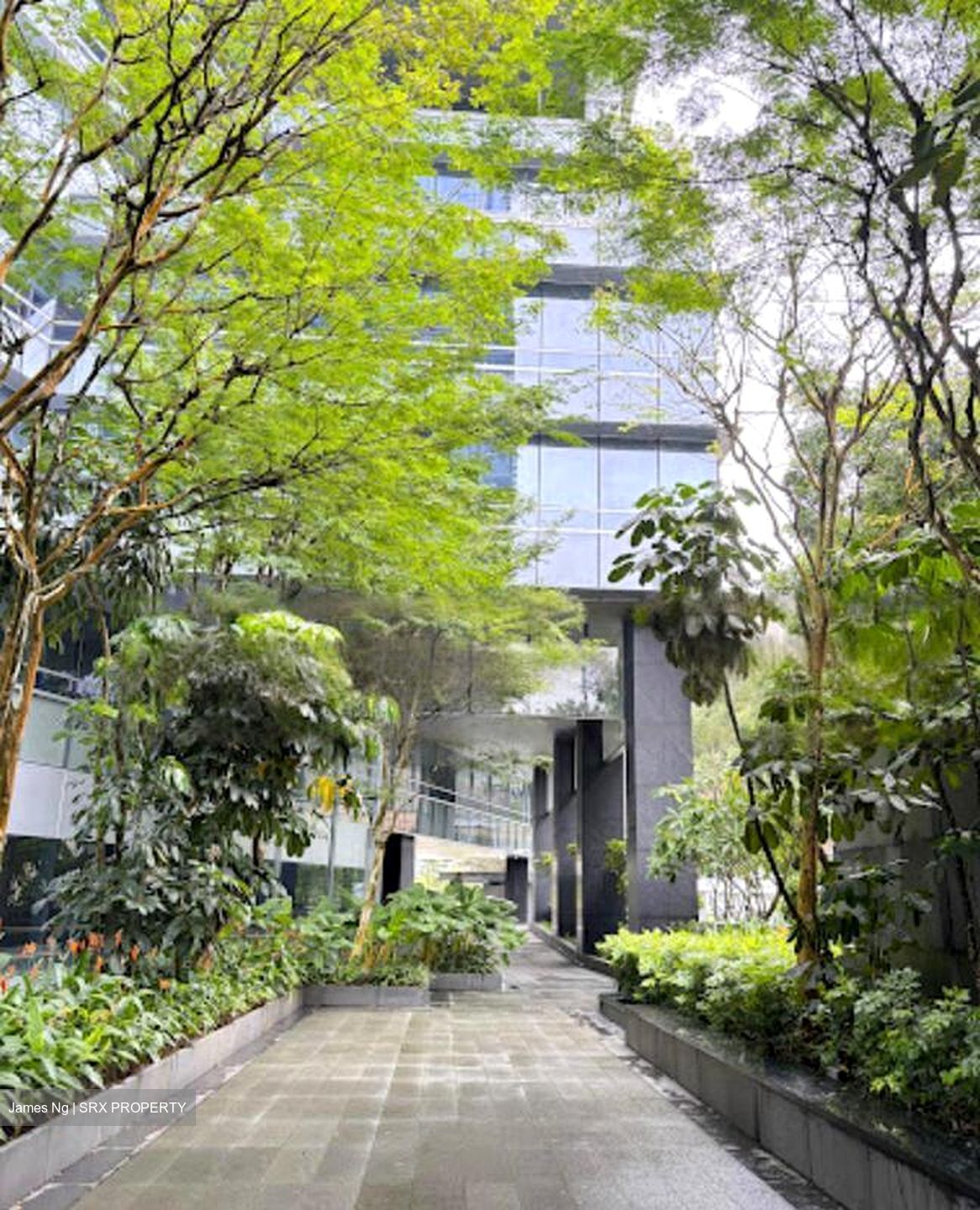 The Metropolis (D5), Office #459312381
